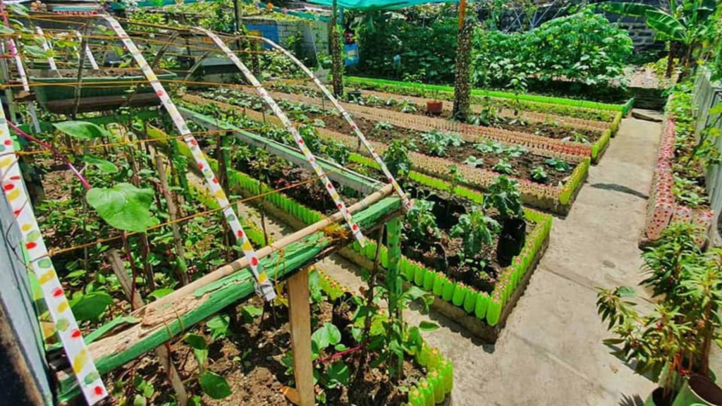 Barangay San Antonio wins Pasig City Sustainable Gardening Contest ...